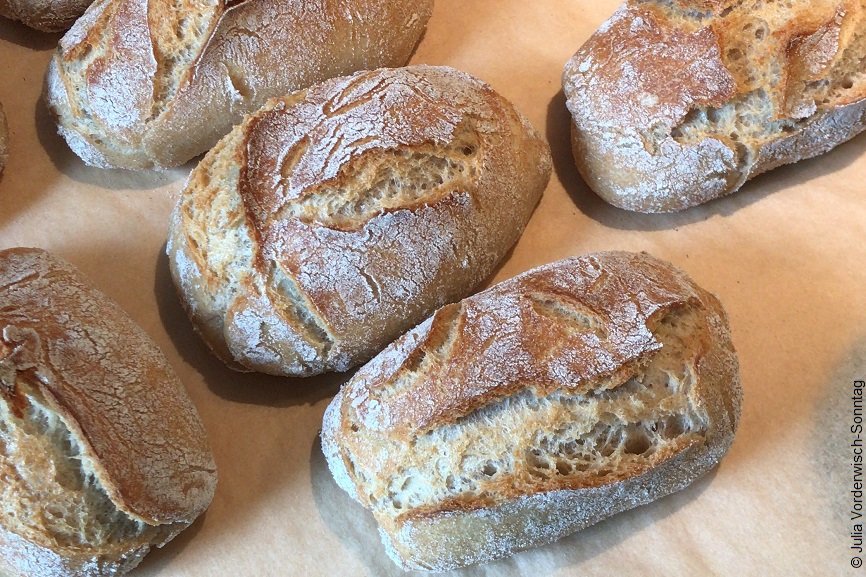 Brötchen auf Backblech