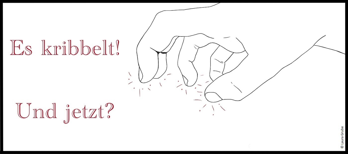 Die Alternativen zum Kratzen